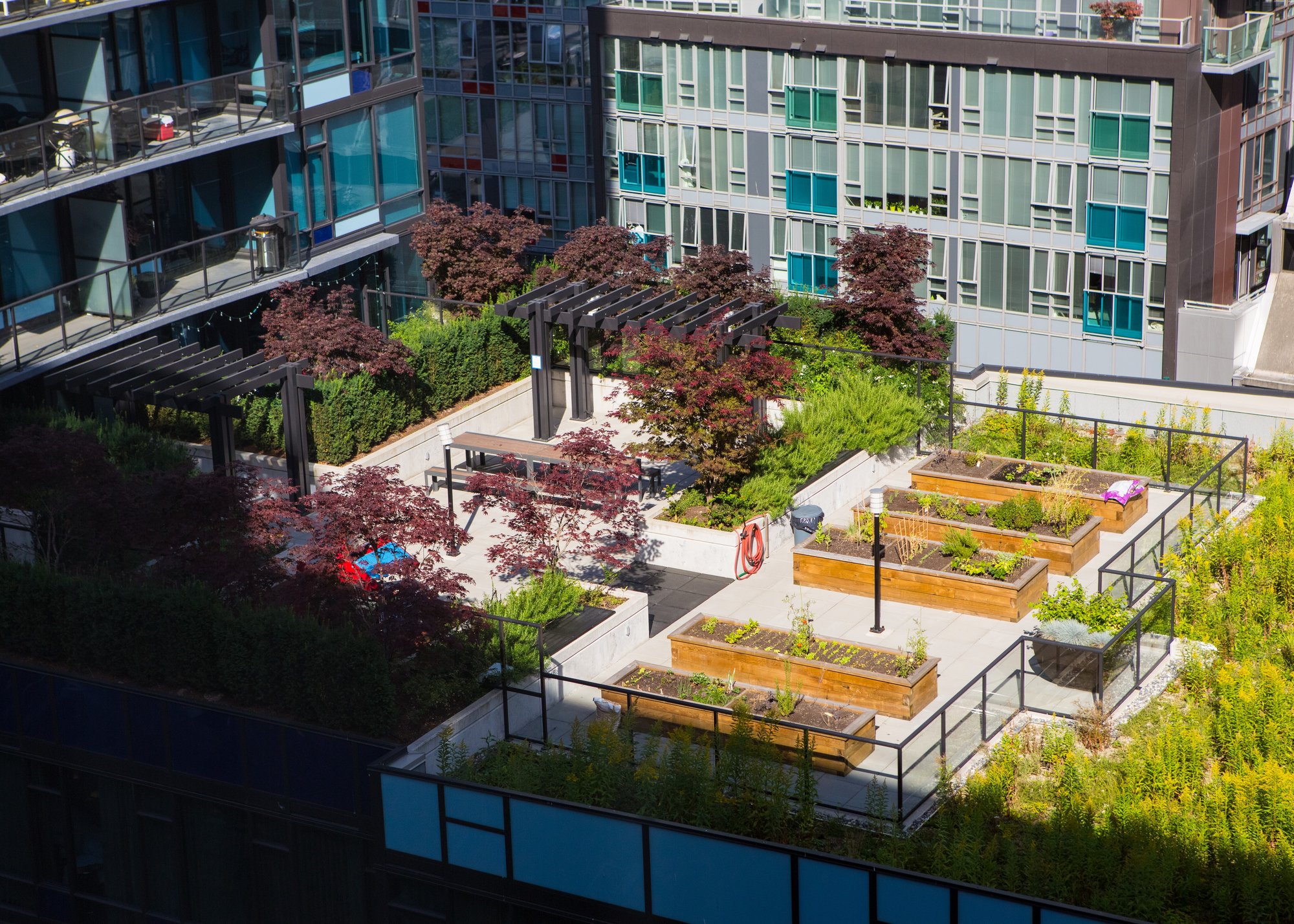 Urban rooftop gardening stock photo