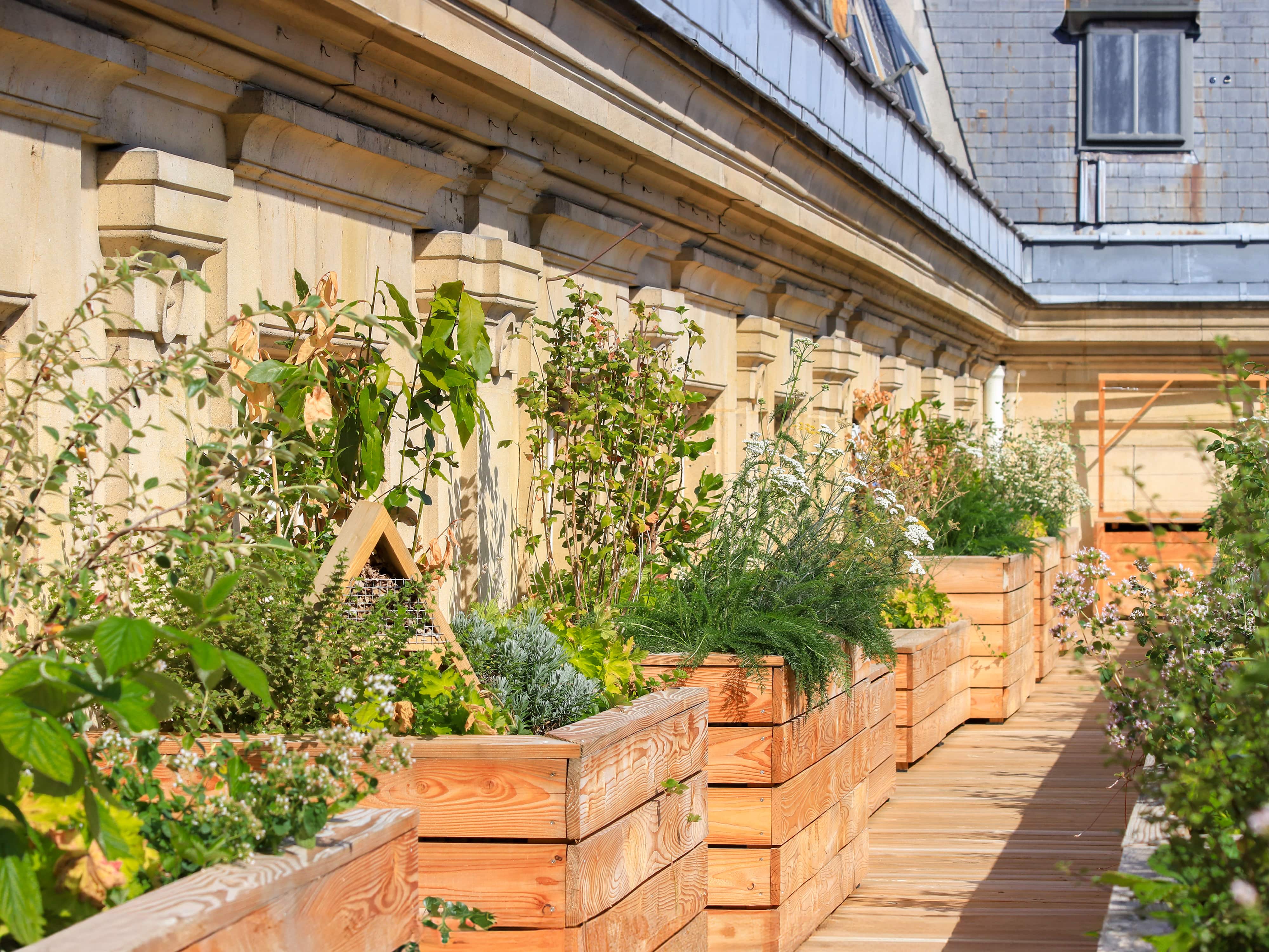 5a422249-6c27-4280-b294-c4676dd0d5cd-project_pictures-InnovativeLivingSystems-AcadémieDuClimat-Picture-3-Credits-OlivierFaber-RoofscapesStudio-min