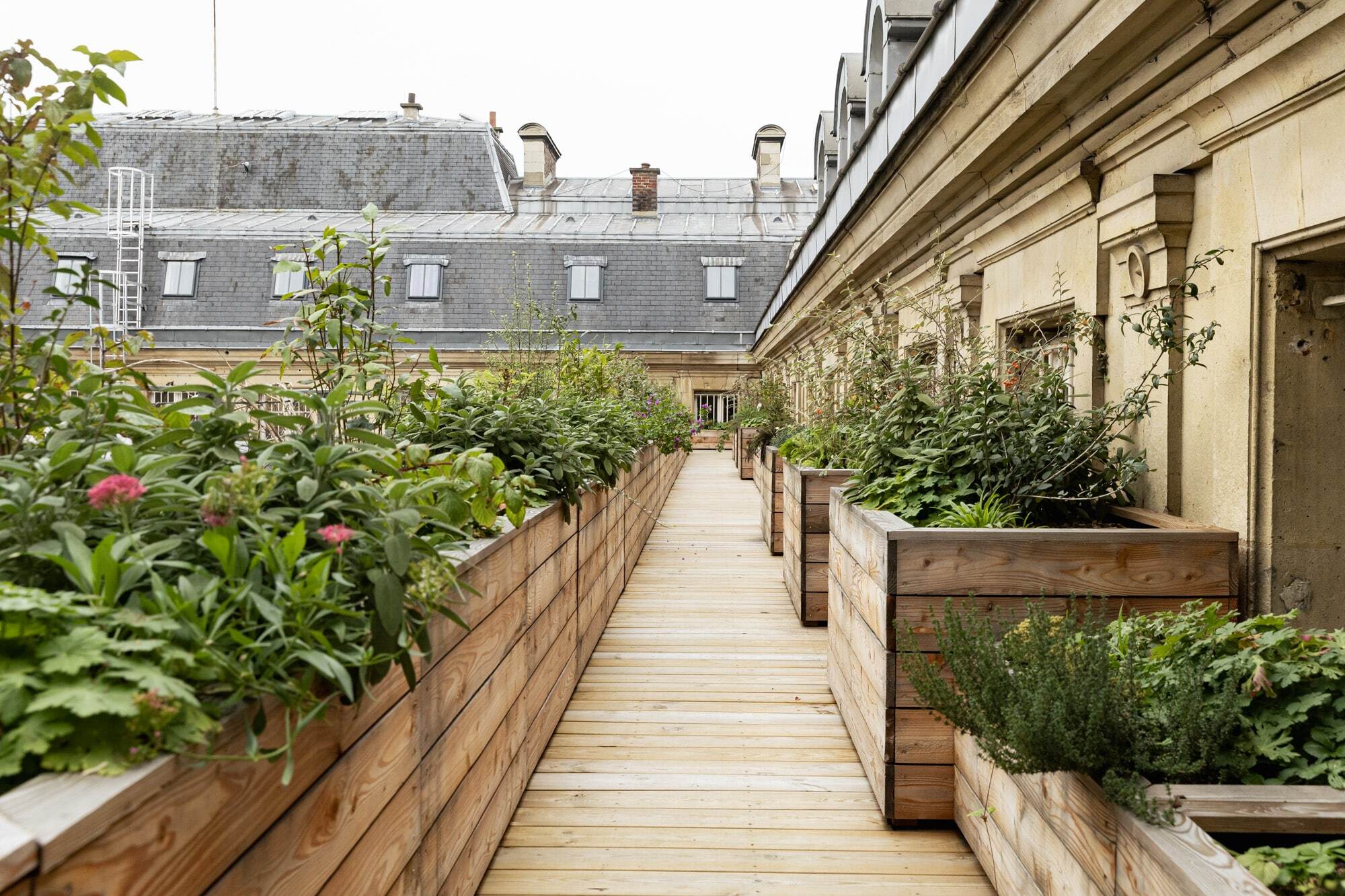 5a422249-6c27-4280-b294-c4676dd0d5cd-project_pictures-InnovativeLivingSystems-AcadémieDuClimat-Picture-5-Credits-GuillaumeBontemps-VilleDeParis-min