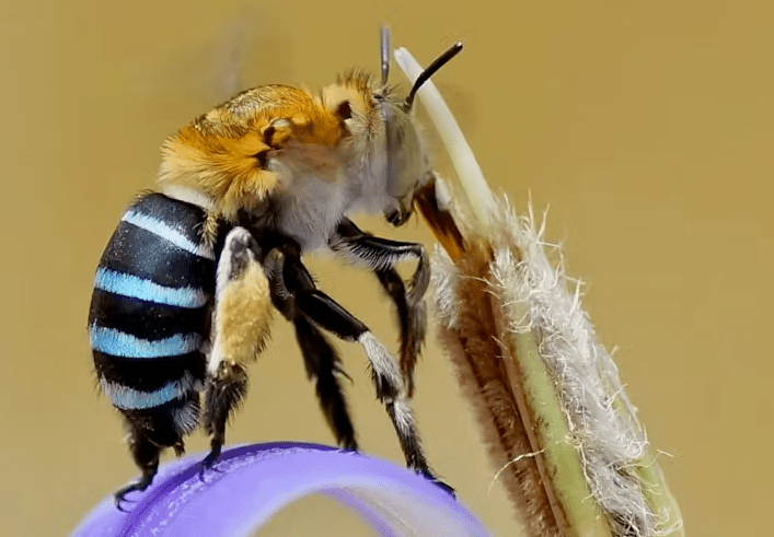 69301fda-8c3d-4eeb-b719-5ac45cd1a05b-project_pictures-image-2-min