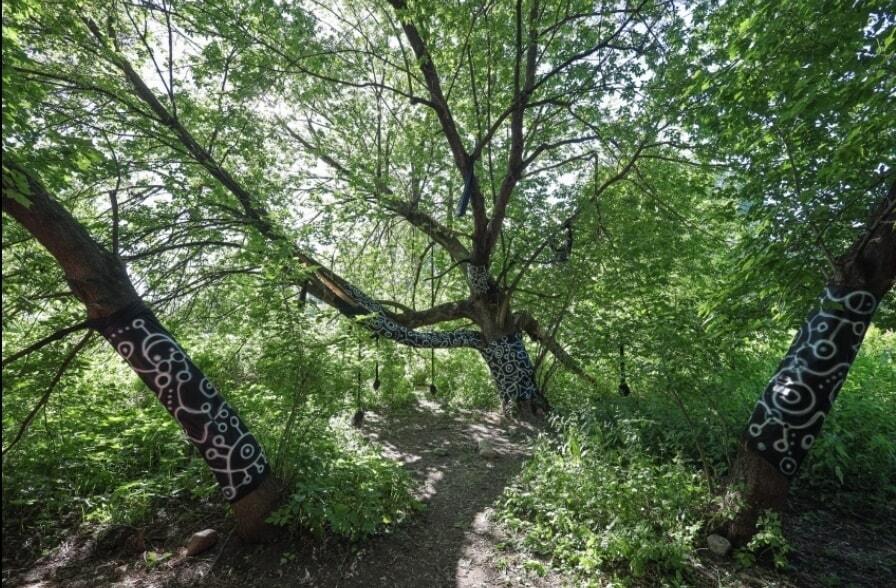 90048af0-4e23-4221-8446-3beb49d53b14-project_pictures-UnintendedGreenery-OneElementProjectAGalleryintheBushesandChoughs-Picture-2-min