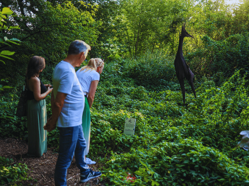 90048af0-4e23-4221-8446-3beb49d53b14-project_pictures-UnintendedGreenery-OneElementProjectAGalleryintheBushesandChoughs-Picture-4-min