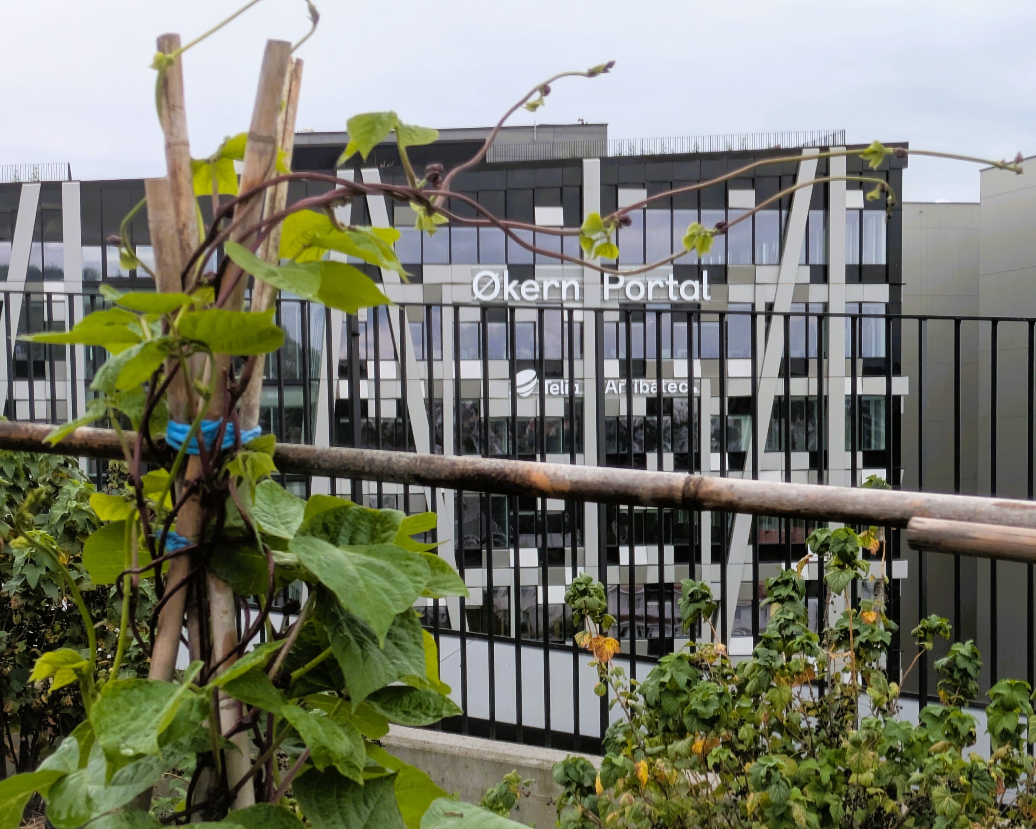 be285851-dfb8-41ce-b181-19ac98db0655-project_pictures-Roof-Økern-Portal-picture-4